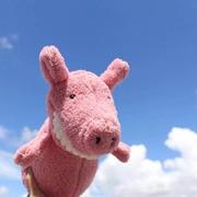 Maggie193的个人资料头像