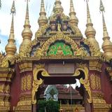 วอนบิน !头像