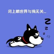 little木叶的个人资料头像