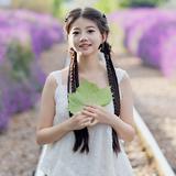 小鹏de日记头像