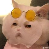 遇见4319头像