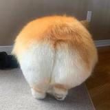 子轩头像