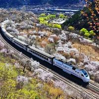 Jz东湖火车爱好者头像