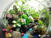 FEStack的个人资料头像