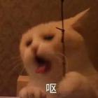 韩老板的个人资料头像