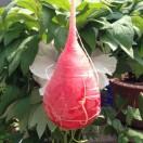 李升的个人资料头像