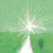 混沌鱼翅的个人资料头像