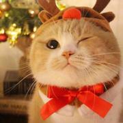 千转百回的个人资料头像