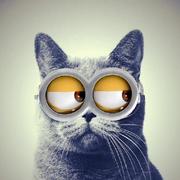 ruimax的个人资料头像