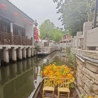 灵巧宇宙tJf头像