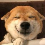 晓头像