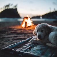 用户6009805433706头像