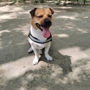 火力全开的芥末的个人资料头像