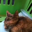 zjy7的个人资料头像