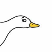 一只好鸟的个人资料头像