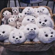 kyic的个人资料头像