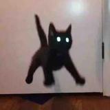 嗨一哦头像