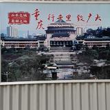 胡杨精神144924057头像