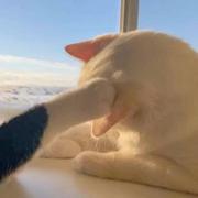 光着脚丫的孩子的个人资料头像