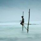 瞿道锋的个人资料头像