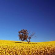这里的山坡十八弯的个人资料头像