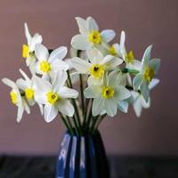 qa一直很安静头像