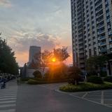 咯好累哦666头像