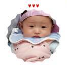 杜抗力的个人资料头像