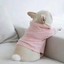 一定错先生的个人资料头像