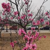 正能量雨雪雾头像