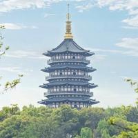 豫A猴子头像