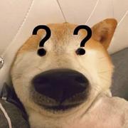 郑x_x的个人资料头像