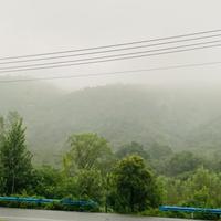 抢点西楚有缘人头像