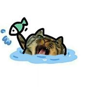 石石石417的个人资料头像