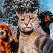 全村最好的剑丶的个人资料头像