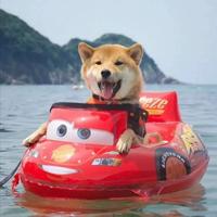 南川北雨383头像