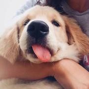 DJayli的个人资料头像