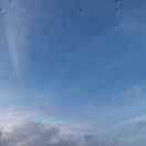 吴辉酱的个人资料头像