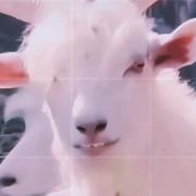 梁毅182的个人资料头像