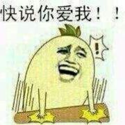 出坑的包子的个人资料头像