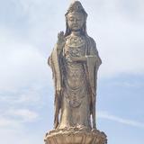 活宝翰翰头像