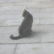 用户3612882558293的个人资料头像