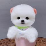 分秒必争星球jf头像
