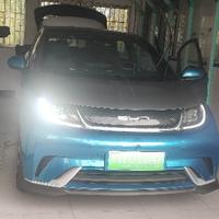 河豚蓝骑士头像