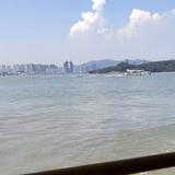 夏木lxw头像