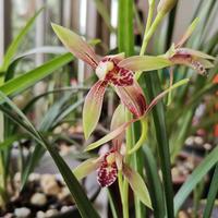 奔跑人生118头像