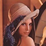 amu_20230206的个人资料头像