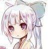 小猫5556头像