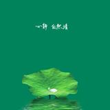 博学努力vlog头像