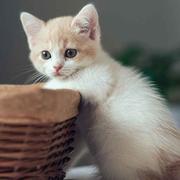 小松1010的个人资料头像